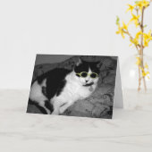 Coole Katze mit Sonnenbrille Geburtstagskarte Karte (Gelbe Blume)