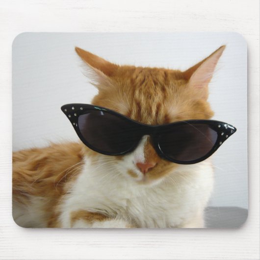 Coole Katze mit Sonnenbrillen Mousepad (Vorne)