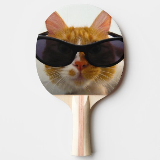 Coole Katze mit SonnenbrillenPing Pong Paddel Tischtennis Schläger (Vorderseite)