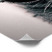 Coole Katze Poster (Ecke)