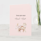 Coole Katze Rosa Schal Geburtstag Karte (Vorderseite)