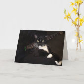 Coole Katze und Gitarre zum Geburtstag Karte (Gelbe Blume)