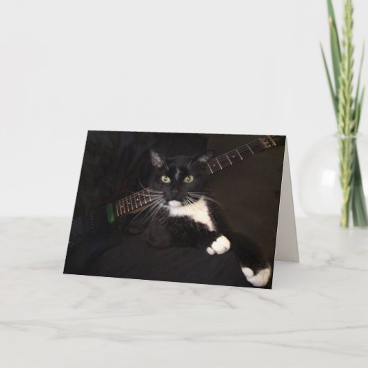 Coole Katze und Gitarre zum Geburtstag Karte (Vorderseite)