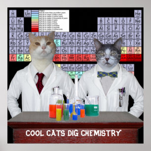 Coole Katzen Dig Chemie Poster