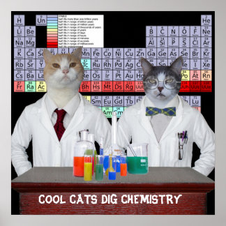 Coole Katzen Dig Chemie Poster