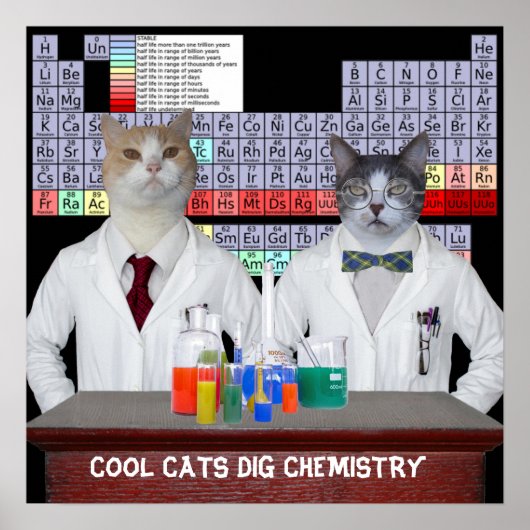 Coole Katzen Dig Chemie Poster (Vorne)