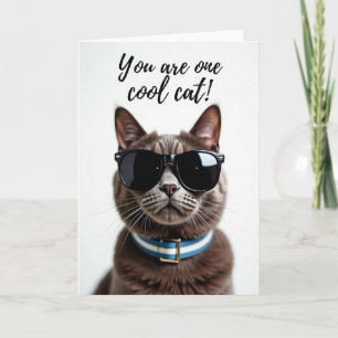 Coole Katzen-Geburtstagskarte Karte