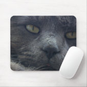 Coole Katzen-Gesichts-Mausunterlage Mousepad (Mit Mouse)