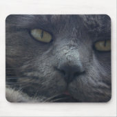 Coole Katzen-Gesichts-Mausunterlage Mousepad (Vorne)