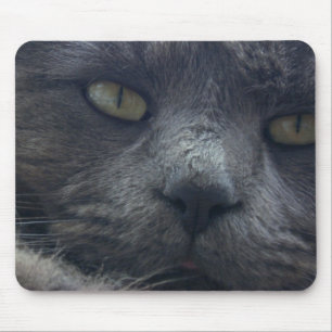 Coole Katzen-Gesichts-Mausunterlage Mousepad