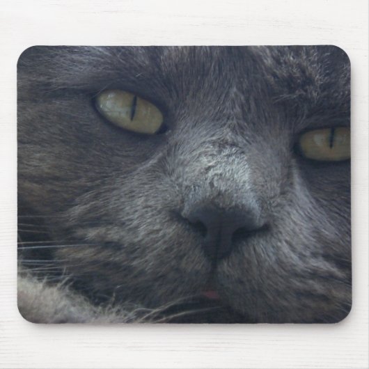 Coole Katzen-Gesichts-Mausunterlage Mousepad (Vorne)