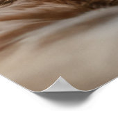 Coole Katzen in Paris Poster (Ecke)