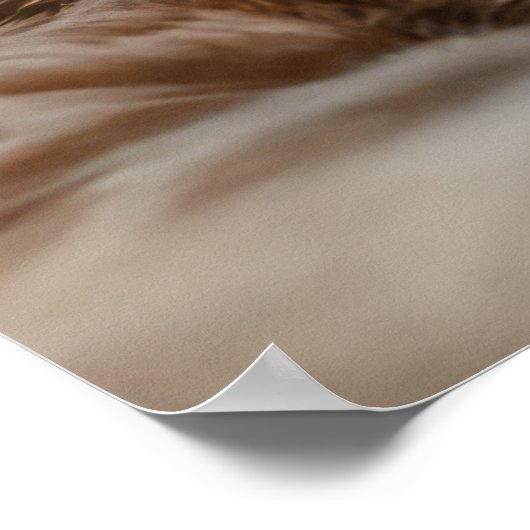 Coole Katzen in Paris Poster (Ecke)