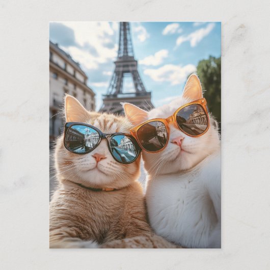 Coole Katzen in Paris Postkarte (Vorderseite)