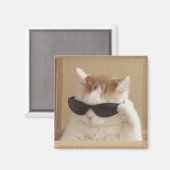 Coole Katzen-Meme Magnet (Vorderseite/Rückseite)