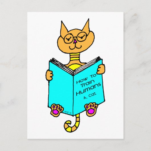 Coole Katzen Postkarte (Vorderseite)