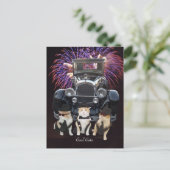 Coole Katzen Postkarte (Stehend Vorderseite)