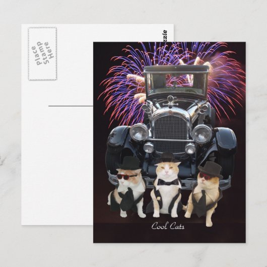 Coole Katzen Postkarte (Vorne/Hinten)