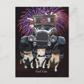 Coole Katzen Postkarte