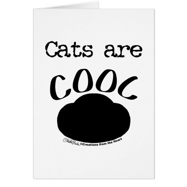 Coole Katzenauflage (Vorne)