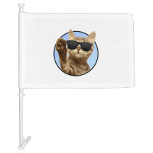 Coole Katzenflagge