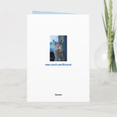 coole Katzengrüßkarte Karte (Rückseite)