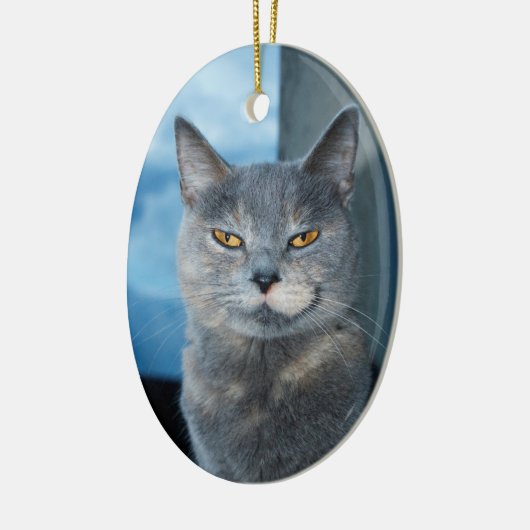 coole Katzenporzellanschmuck Keramik Ornament (Links)