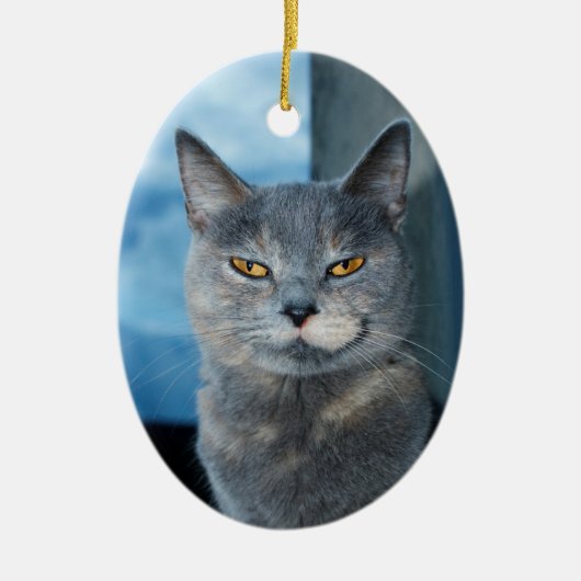 coole Katzenporzellanschmuck Keramik Ornament (Vorne)