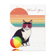 Coole Katzenschwingungen bei Sonnenuntergang