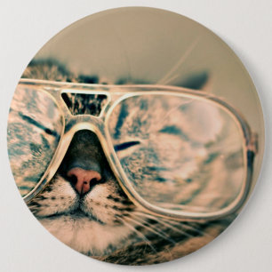 Coole Kitty in einer überdachten Brille Button