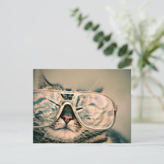 Coole Kitty in einer überdachten Brille Postkarte (Stehend Vorderseite)