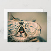 Coole Kitty in einer überdachten Brille Postkarte (Vorne/Hinten)