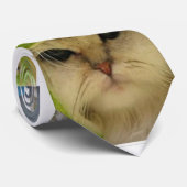 coole Krawatte (Gerollt)