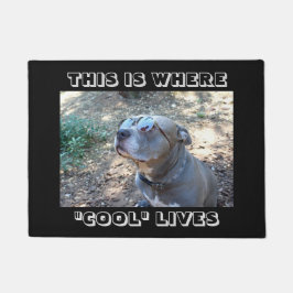 Coole Leute-coole Hundefußmatte Fußmatte
