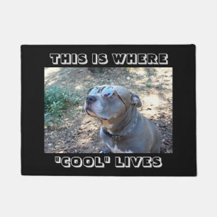 Coole Leute-coole Hundefußmatte Fußmatte