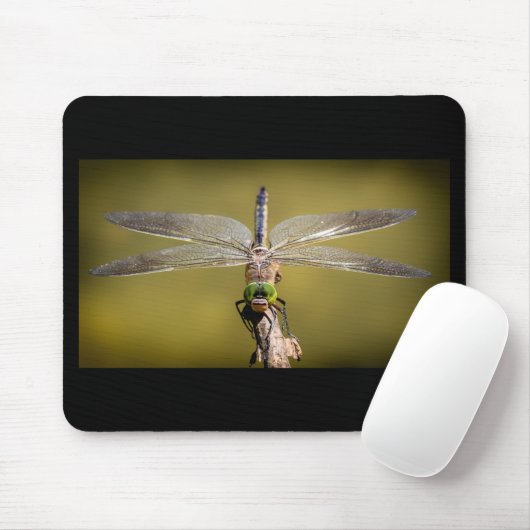 Coole Libelle Mousepad (Mit Mouse)