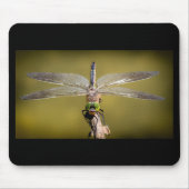 Coole Libelle Mousepad (Vorne)