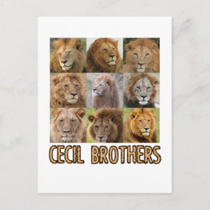 coole Lion-Designs Postkarte