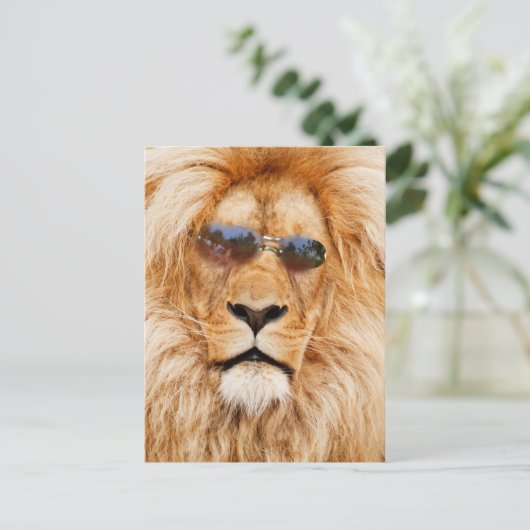 Coole Löwengesicht Postkarte (Stehend Vorderseite)