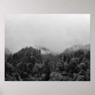 Coole, magische Nebelnatur Poster