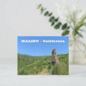 Coole Malibu Postkarte! Postkarte (Stehend Vorderseite)