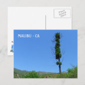Coole Malibu Postkarte! Postkarte (Vorne/Hinten)