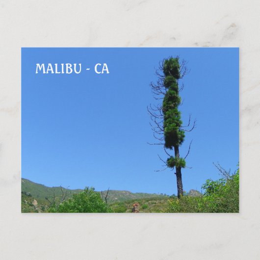 Coole Malibu Postkarte! Postkarte (Vorderseite)