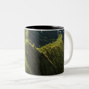 Coole Meereslebewesen Zweifarbige Tasse