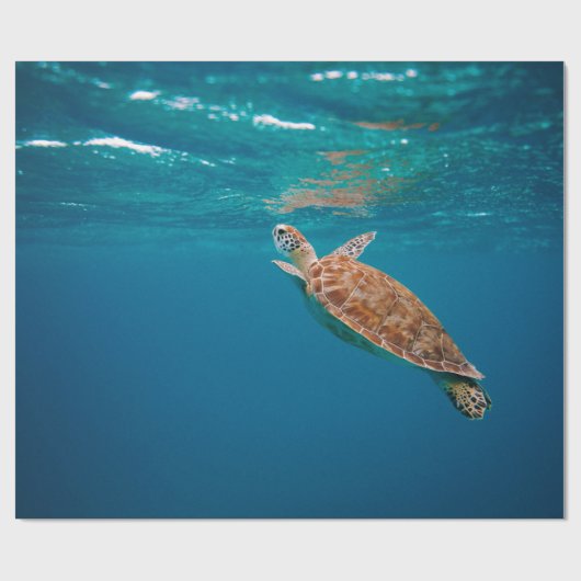 Coole Meerestiere Geschenkpapier (Flach)