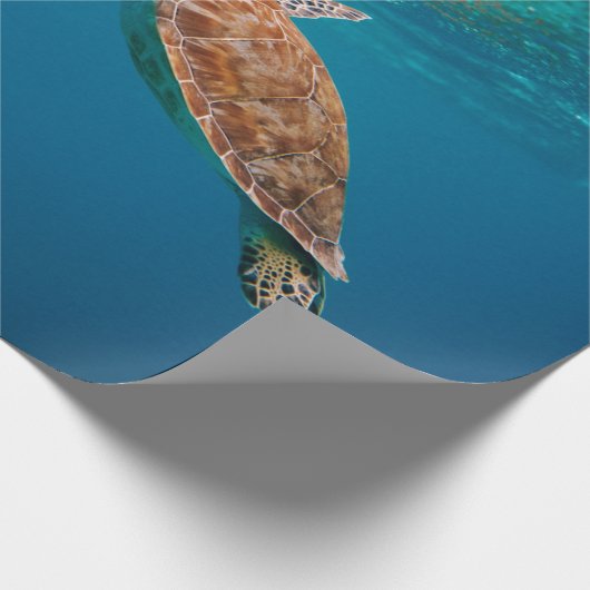 Coole Meerestiere Geschenkpapier (Ecke)