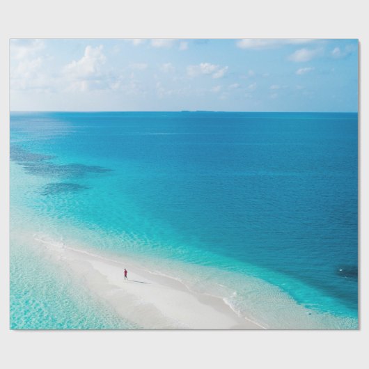 Coole Meerestiere Geschenkpapier (Flach)