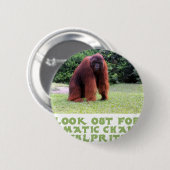 coole Orang-Utan Entwürfe Button (Vorne & Hinten)