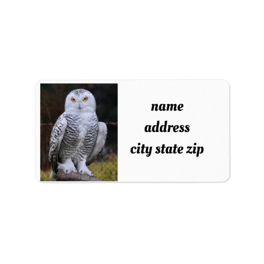 **COOLE OWL**-ADRESSETIKETTEN ADRESSAUFKLEBER (Vorne)