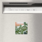 Coole Pflanze Magnet (In Situ (Geschirrspüler))